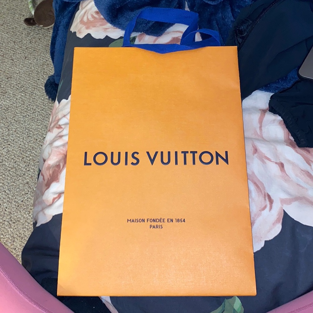 Louis Vuitton Medium sized bag